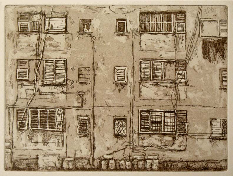 Shikun, 2006 Picture