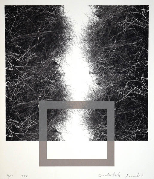 Shrubbery with gray square Picture