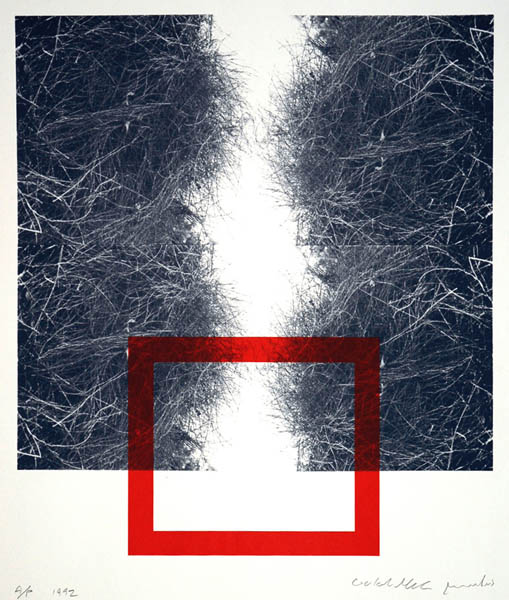 Shrubbery with red square Picture