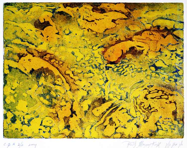 A water pond Picture