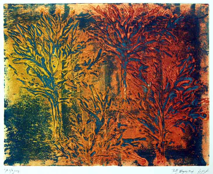 Forest on fire Picture