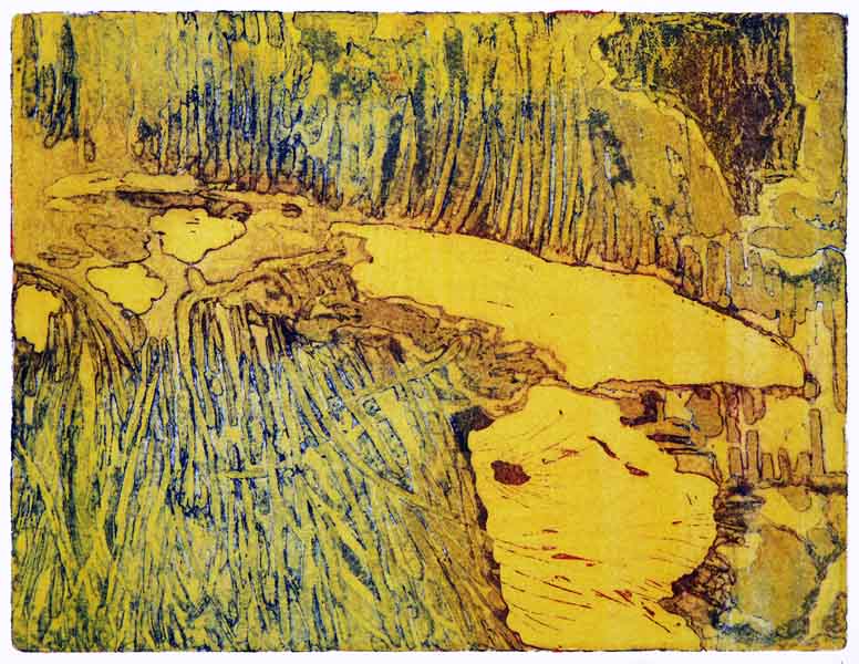 Roots in water Picture