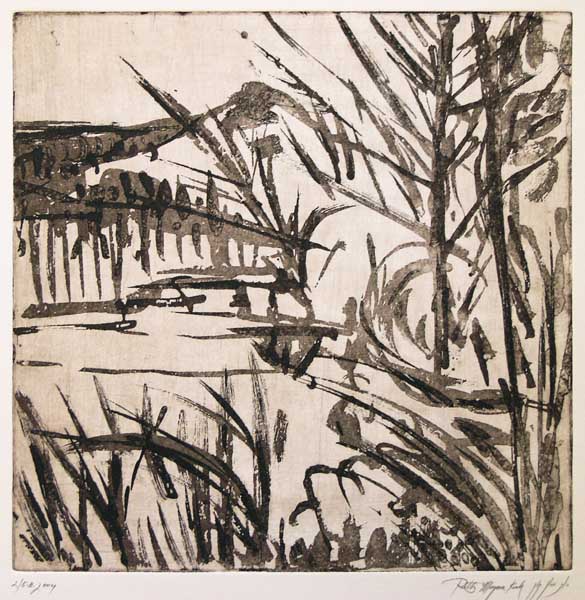 Shore landscape Picture