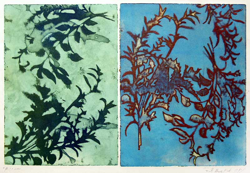 Sprouting branch Picture