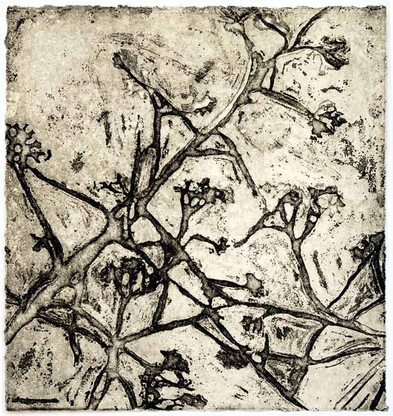 Gan Ha'atzmaut Picture