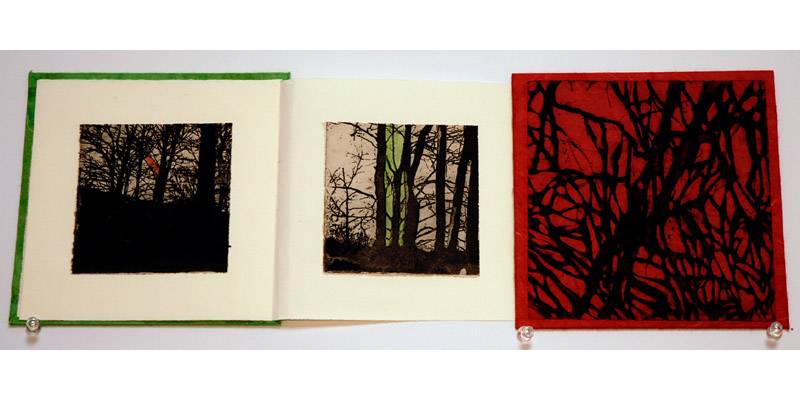 Selfportrait book Picture