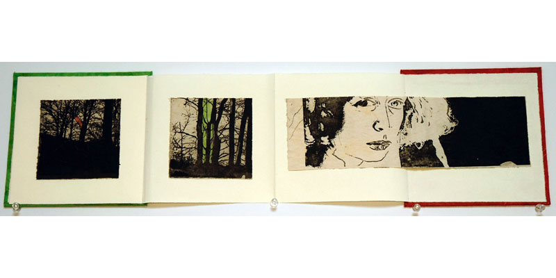 Selfportrait book Picture