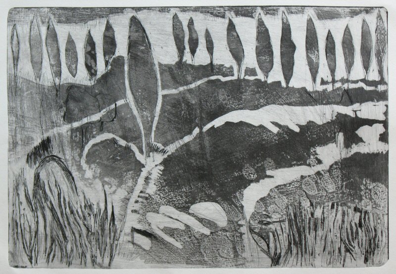 From the series - Arava to Sharon Picture