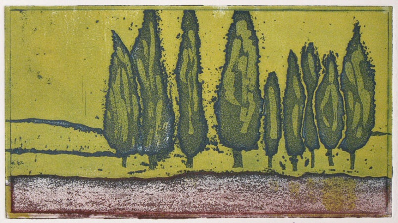 Cypress trees in red soil Picture