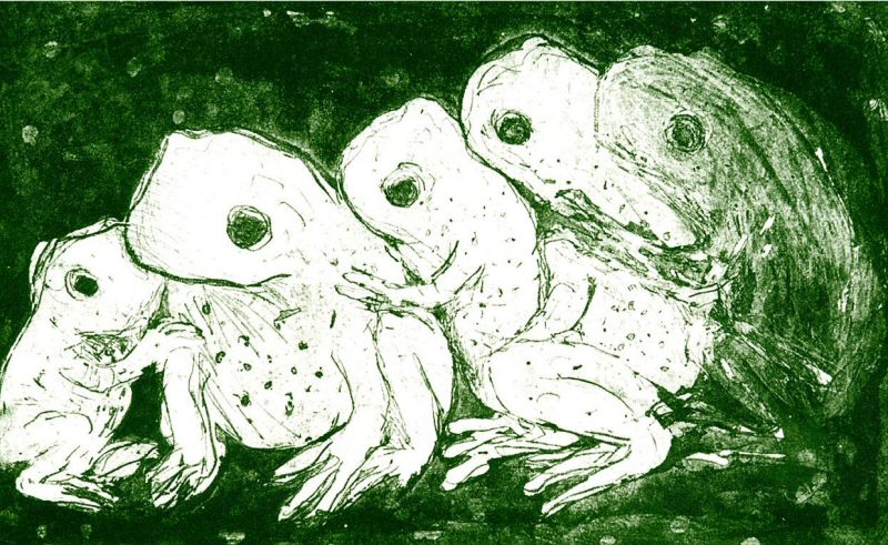 5 Frogs, 2002 Picture