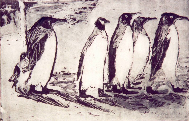 Penguins Picture