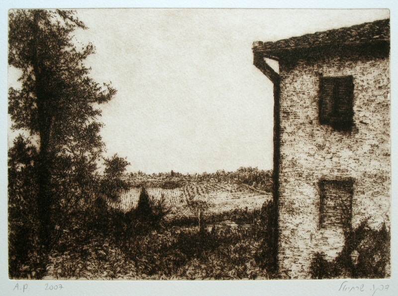 San Gimignano, 2007 Picture