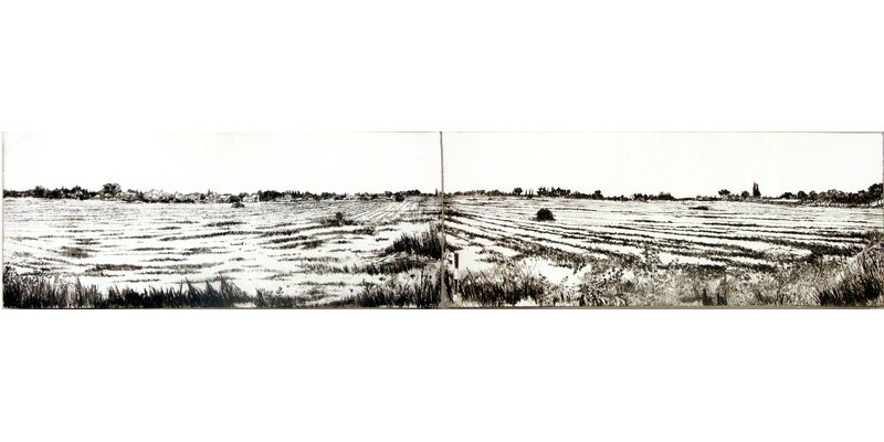 Dry Landscape X2 Picture