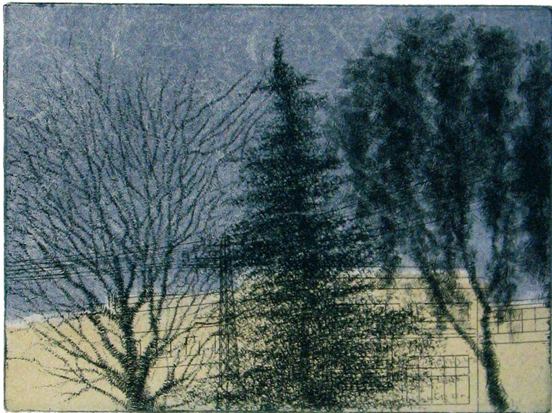 Evening Trees, 2008 Picture