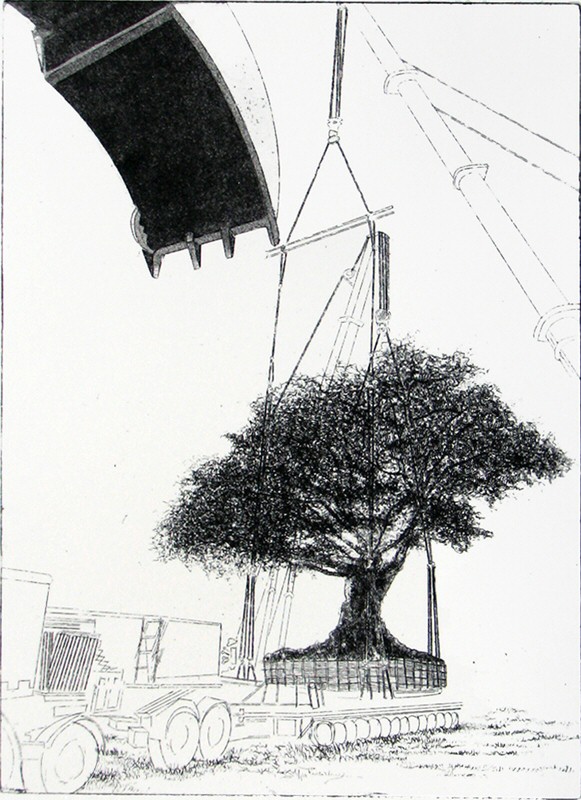 Urban Tree II, 2008 Picture