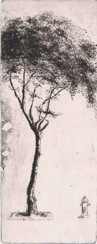 arbol y matafuegos Picture