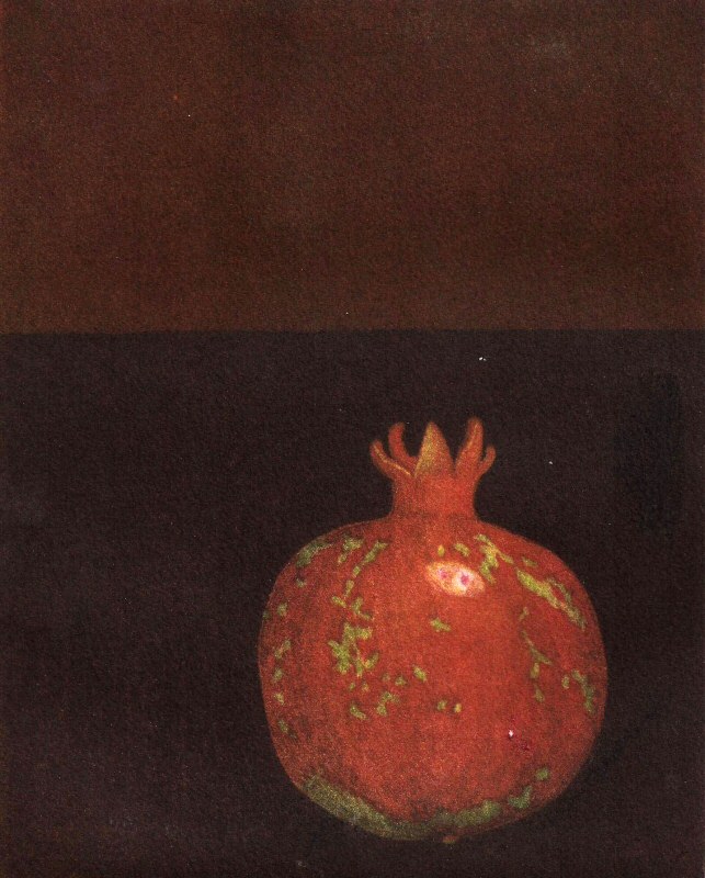 Pomgranate 2008  Picture