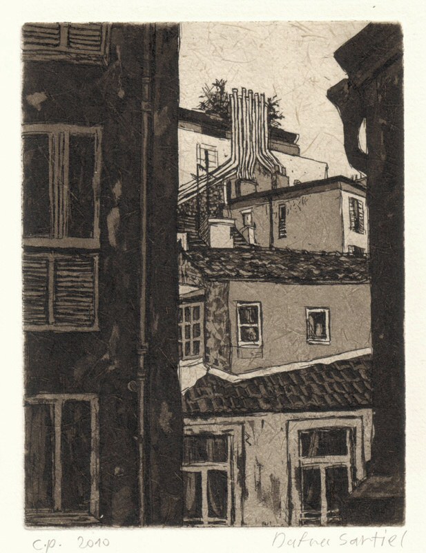 Backyard, 2010 Picture