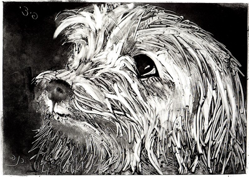 PITZInka (1) Picture