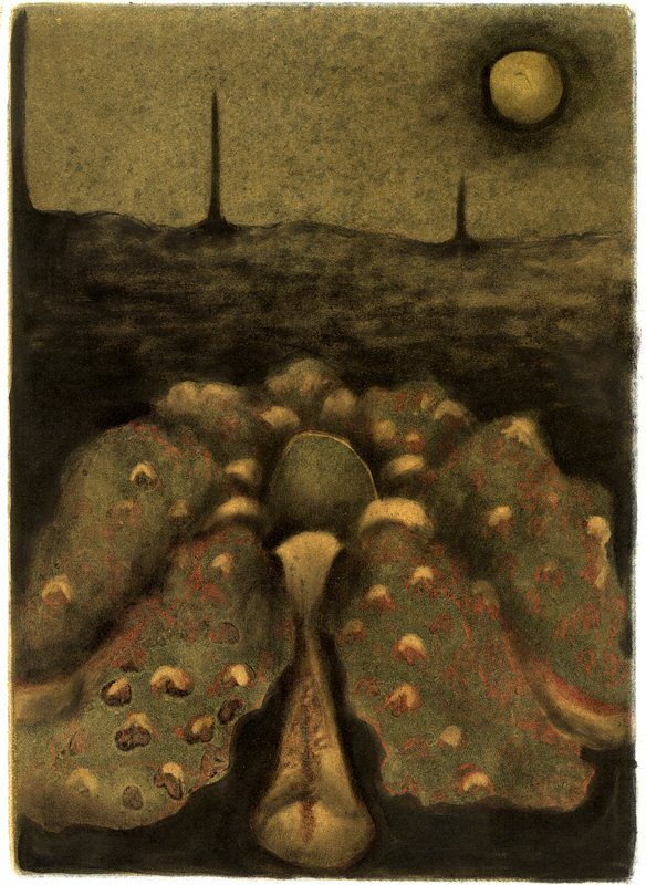 Life from Death Picture