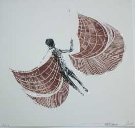 Icaros flight