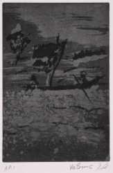 The Niger, night